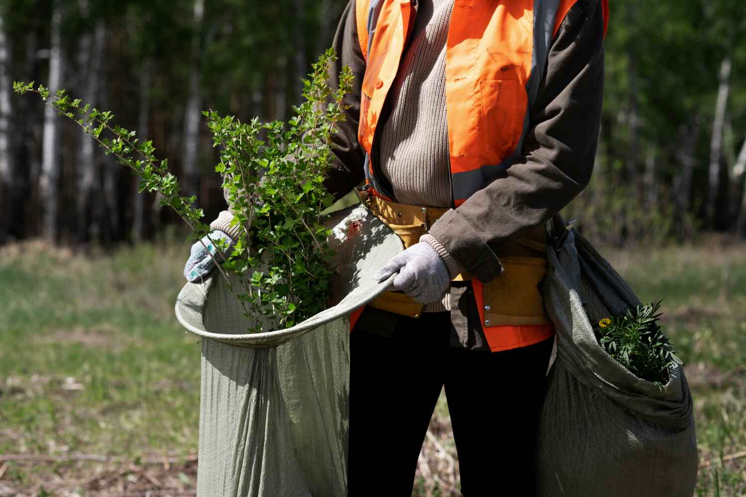 Best Affordable Tree Service  in Lockwood, MO